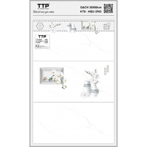TTPV003C