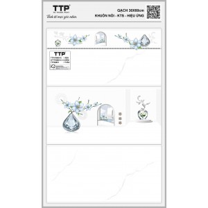 TTPV38651C 