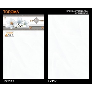 TV2117