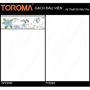 TVY3101