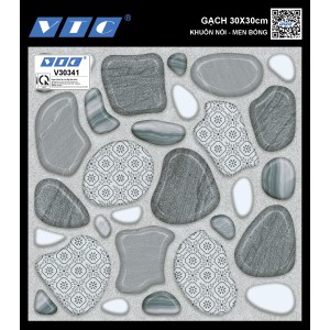 V30341