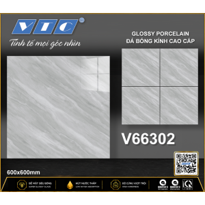 V66302