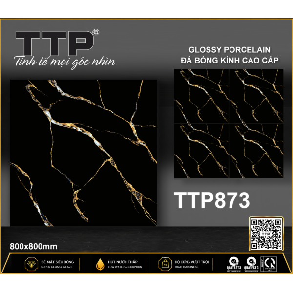 TTP873